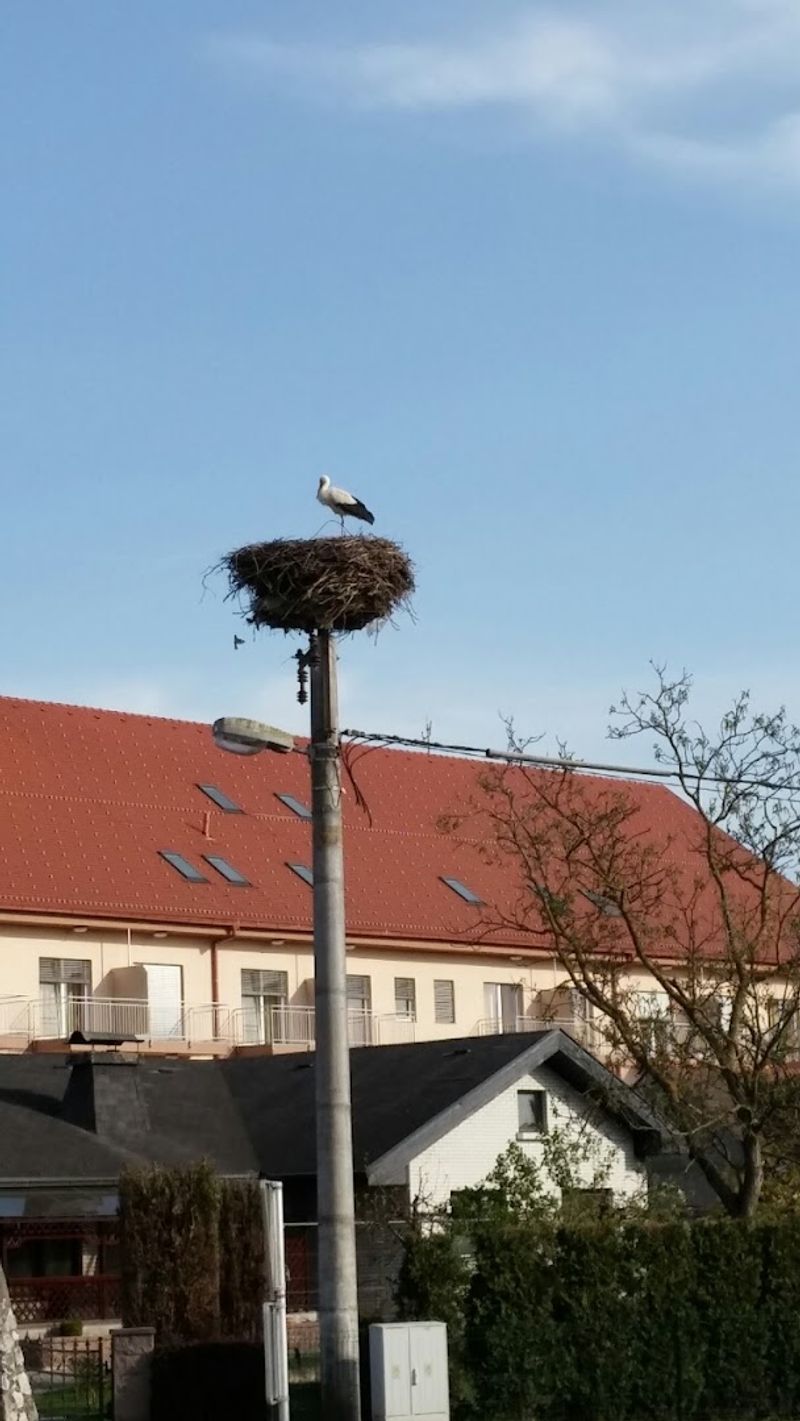 Velika Polana, Prekmurje, Slovenia