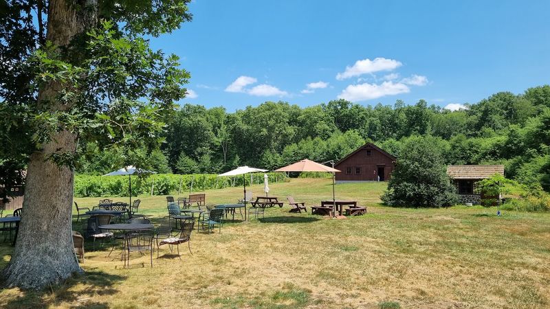 Verde Vineyards, Johnston