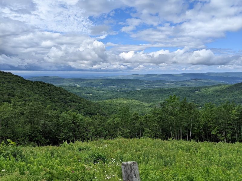 Views from the Top of Berry Mountain