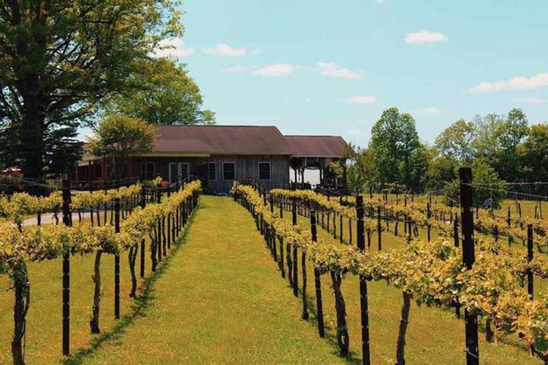 Visit Carolina Heritage Vineyard and Winery Visit Carolina Heritage Vineyard and Winery