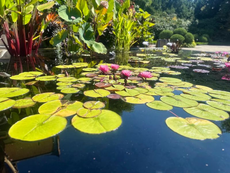Visiting in Winter Versus Summer: Two Different Gardens Visiting in Winter Versus Summer: Two Different Gardens