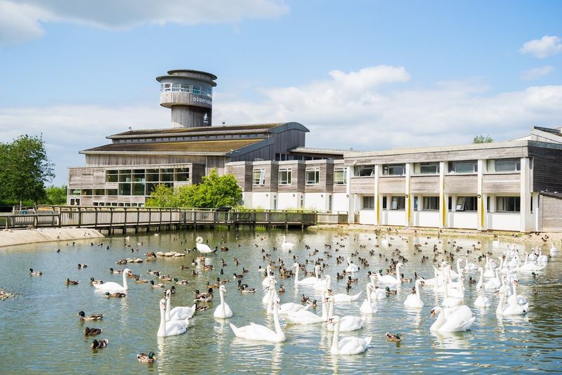 WWT Slimbridge Wetland Centre, Slimbridge, Gloucestershire, England WWT Slimbridge Wetland Centre, Slimbridge, Gloucestershire, England