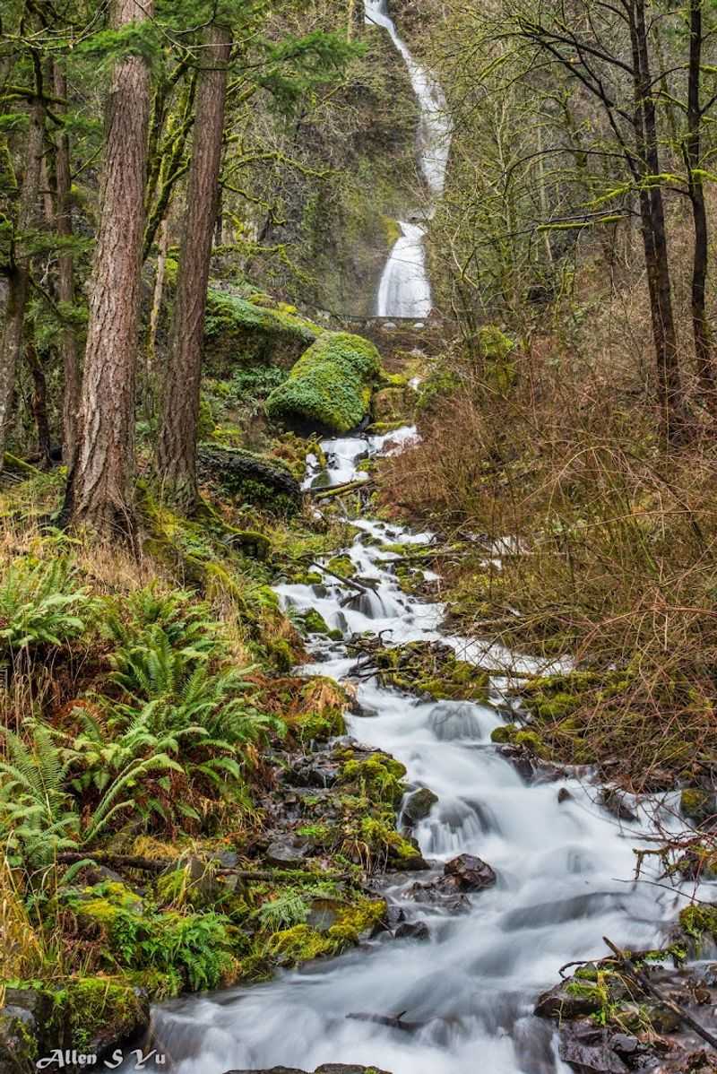 Wahkeena Falls Trail — Columbia River Gorge Wahkeena Falls Trail — Columbia River Gorge