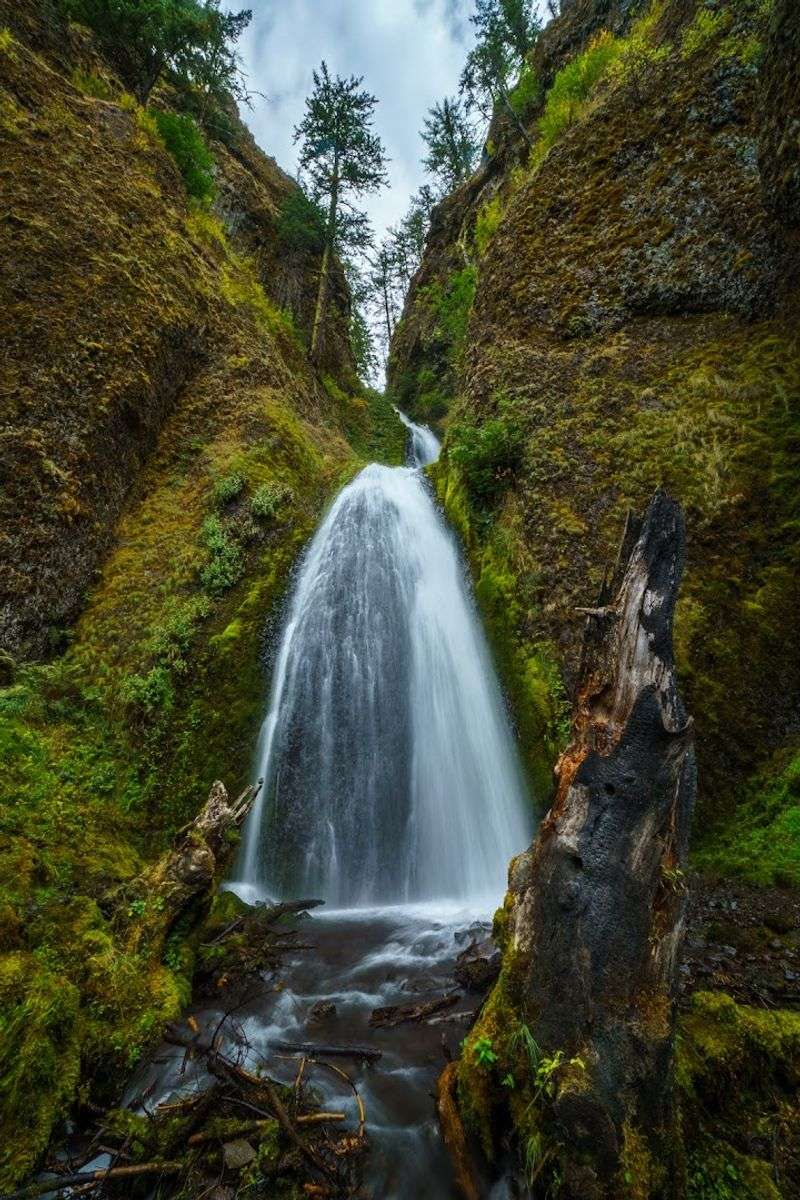Wahkeena Falls Wahkeena Falls