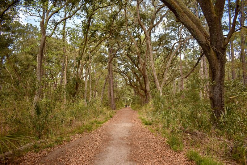 Walk The Salt Marsh Trails At Skidaway Island Walk The Salt Marsh Trails At Skidaway Island