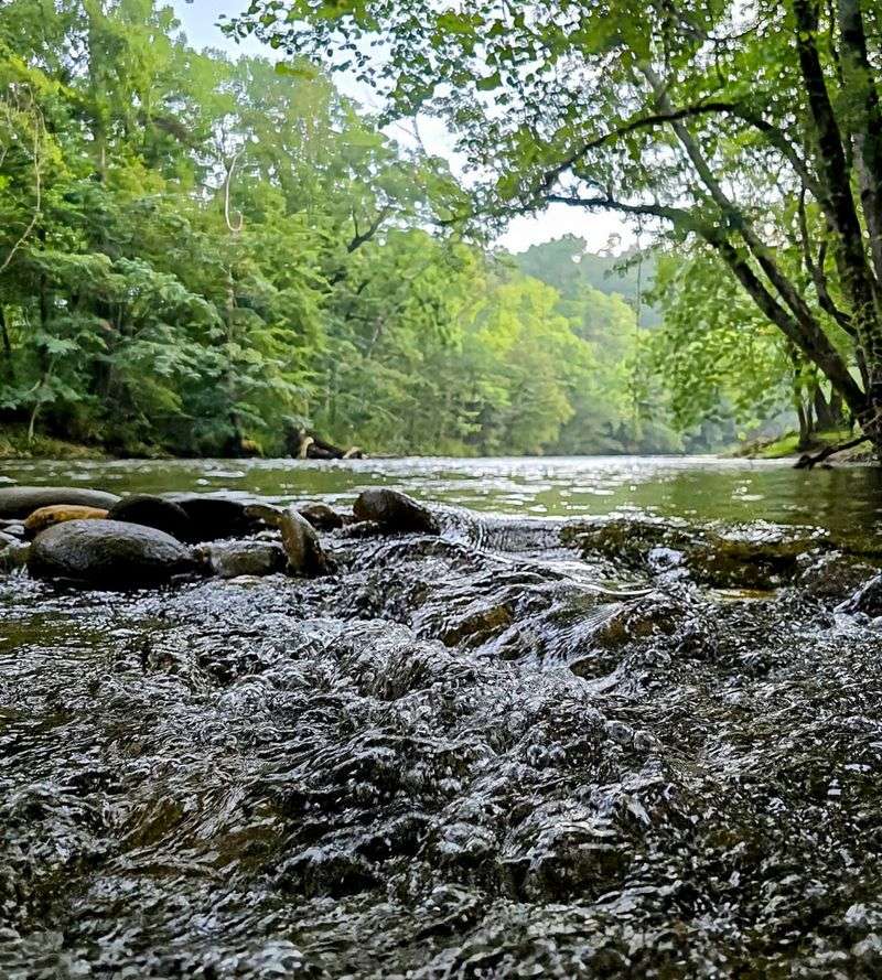 Walking Along the Little River