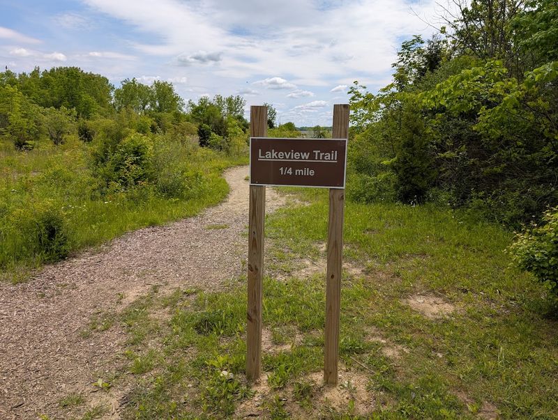 Walking Trails That Extend the Adventure Beyond the Sand Walking Trails That Extend the Adventure Beyond the Sand