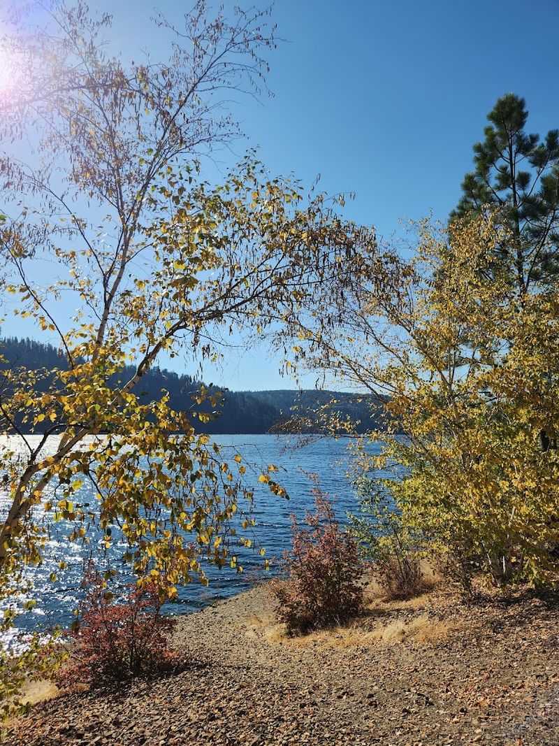 Walking the Shore: A Pace That Lets You Notice Everything