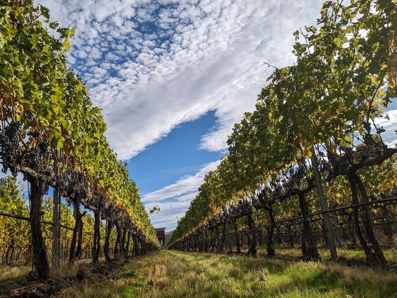 Walla Walla Valley, Washington