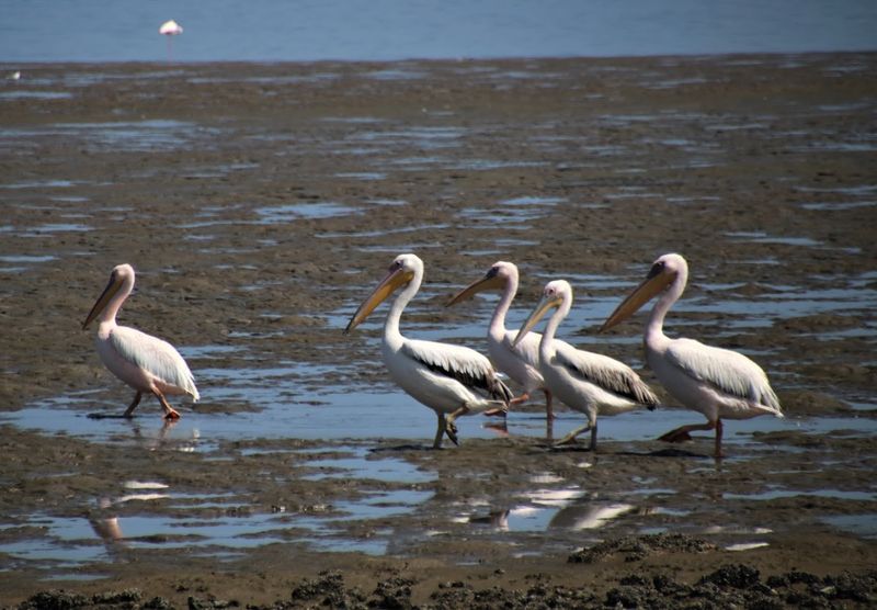 Walvis Bay, Namibia