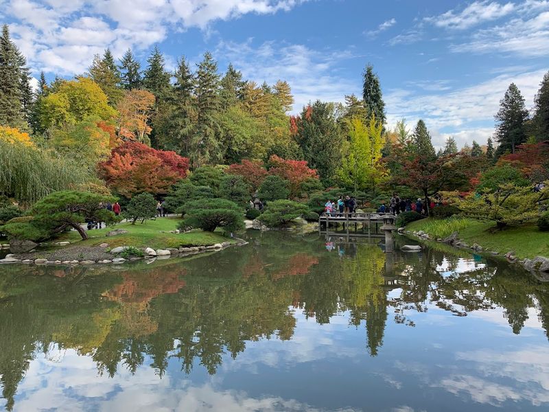 Washington Park Arboretum, Seattle, Washington Washington Park Arboretum, Seattle, Washington