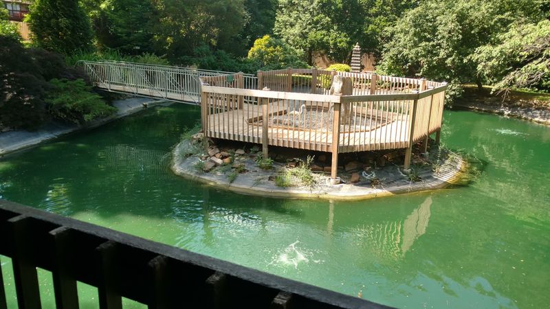 Water Features and Bridges That Add a Storybook Feel