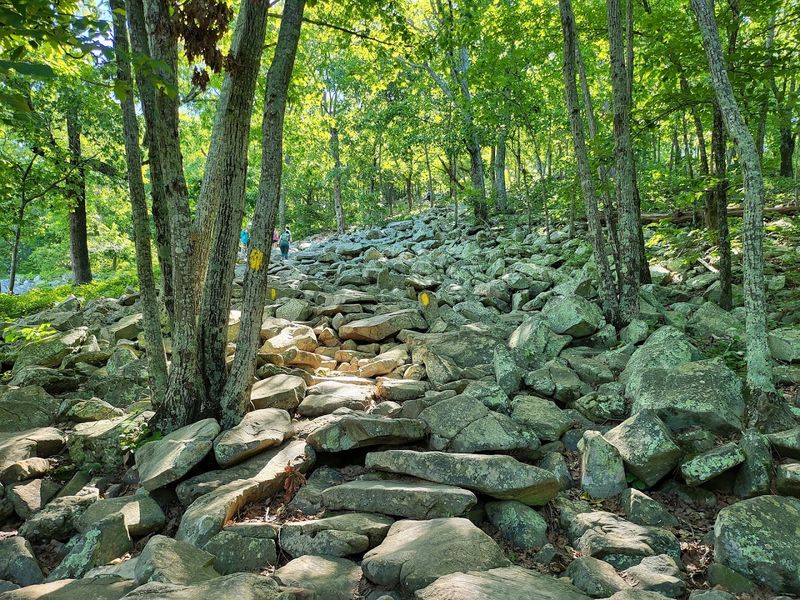West Summit Trail: Rocky Steps and Rewarding Skies