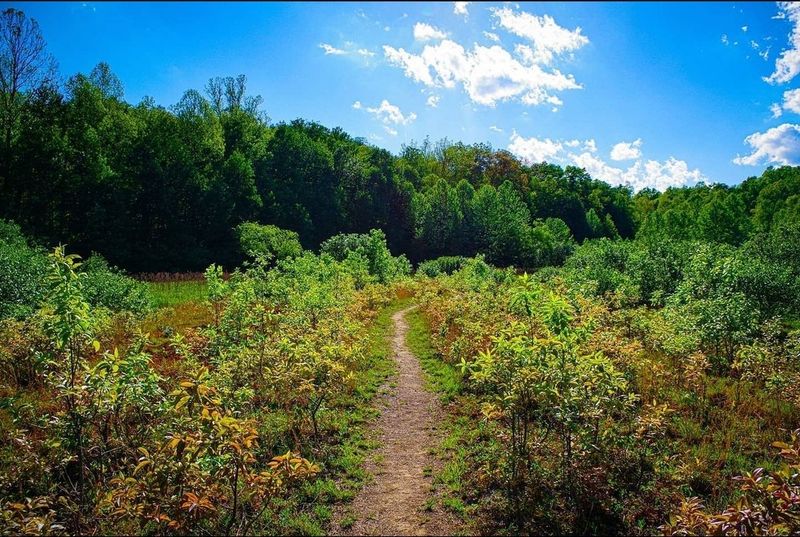 West Virginia Botanic Garden, Morgantown, West Virginia