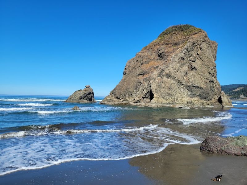 Whaleshead Beach: Wide Open and Wild Whaleshead Beach: Wide Open and Wild