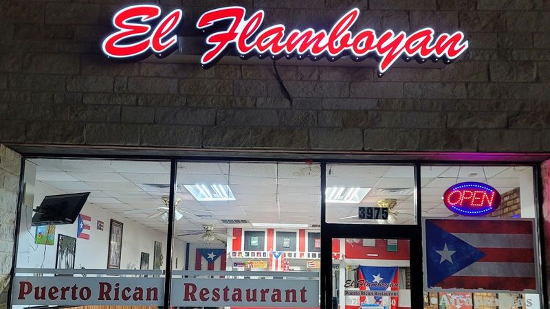 What El Flamboyan Actually Is and Where to Find It What El Flamboyan Actually Is and Where to Find It
