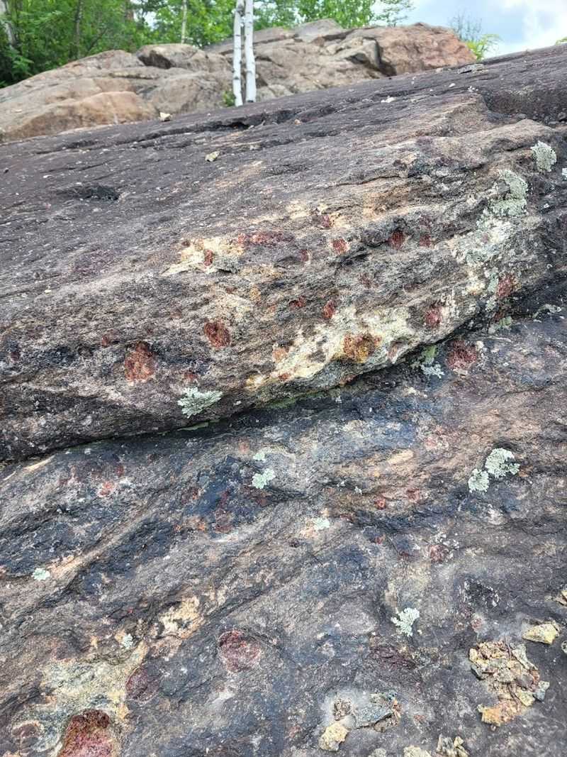 What Garnets Actually Look Like in the Wild