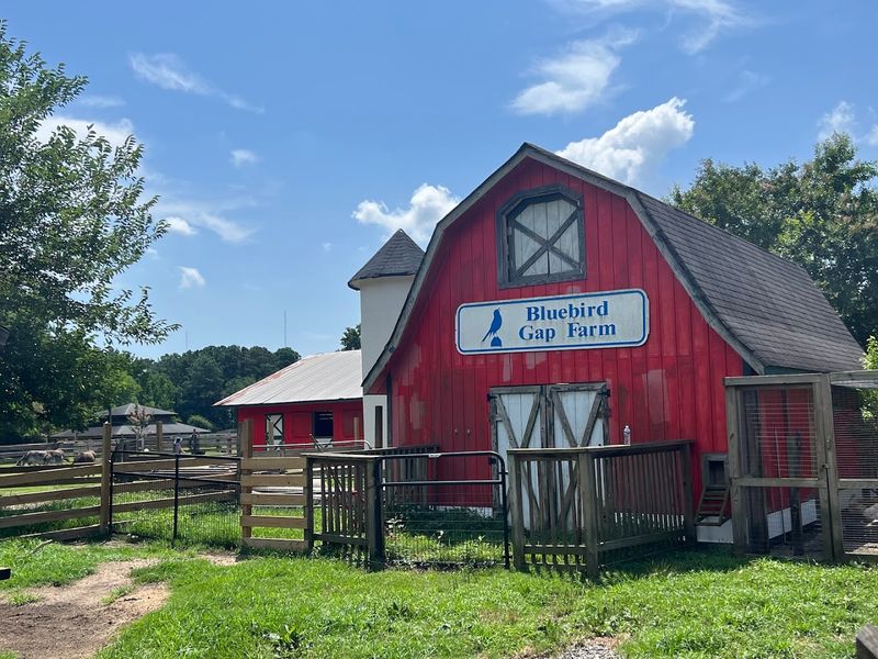 What Is Bluebird Gap Farm