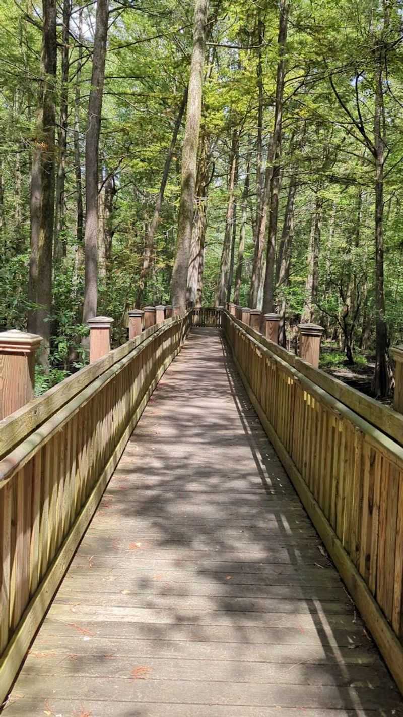 What Is Sky Lake WMA Boardwalk What Is Sky Lake WMA Boardwalk