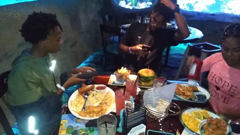 What It Feels Like to Watch Sharks During Dinner