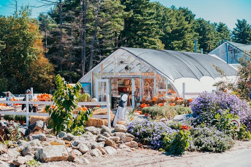 What Makes Smolak Farms Stand Out From the Rest What Makes Smolak Farms Stand Out From the Rest