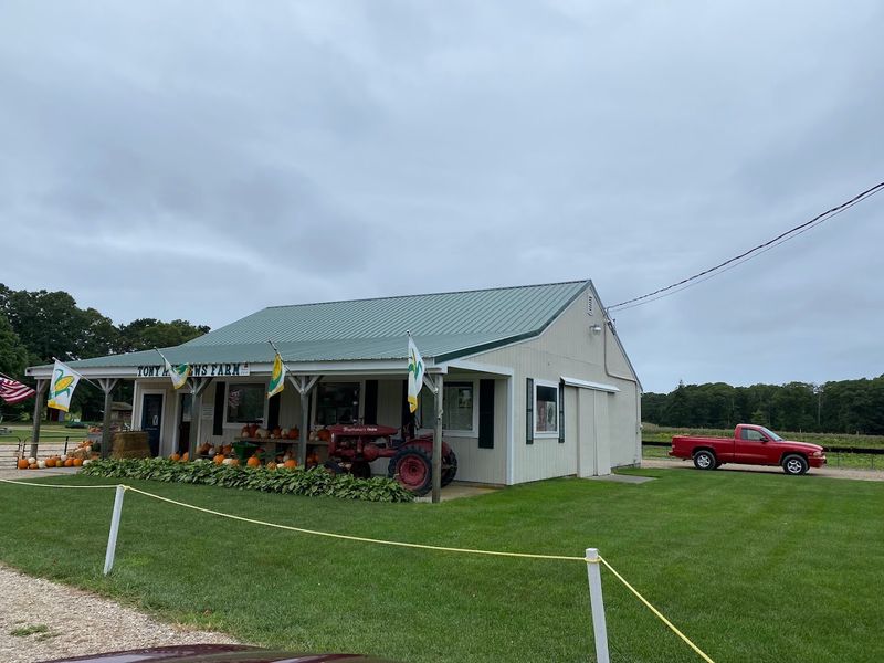 What Makes This Farm Different From a Grocery Run