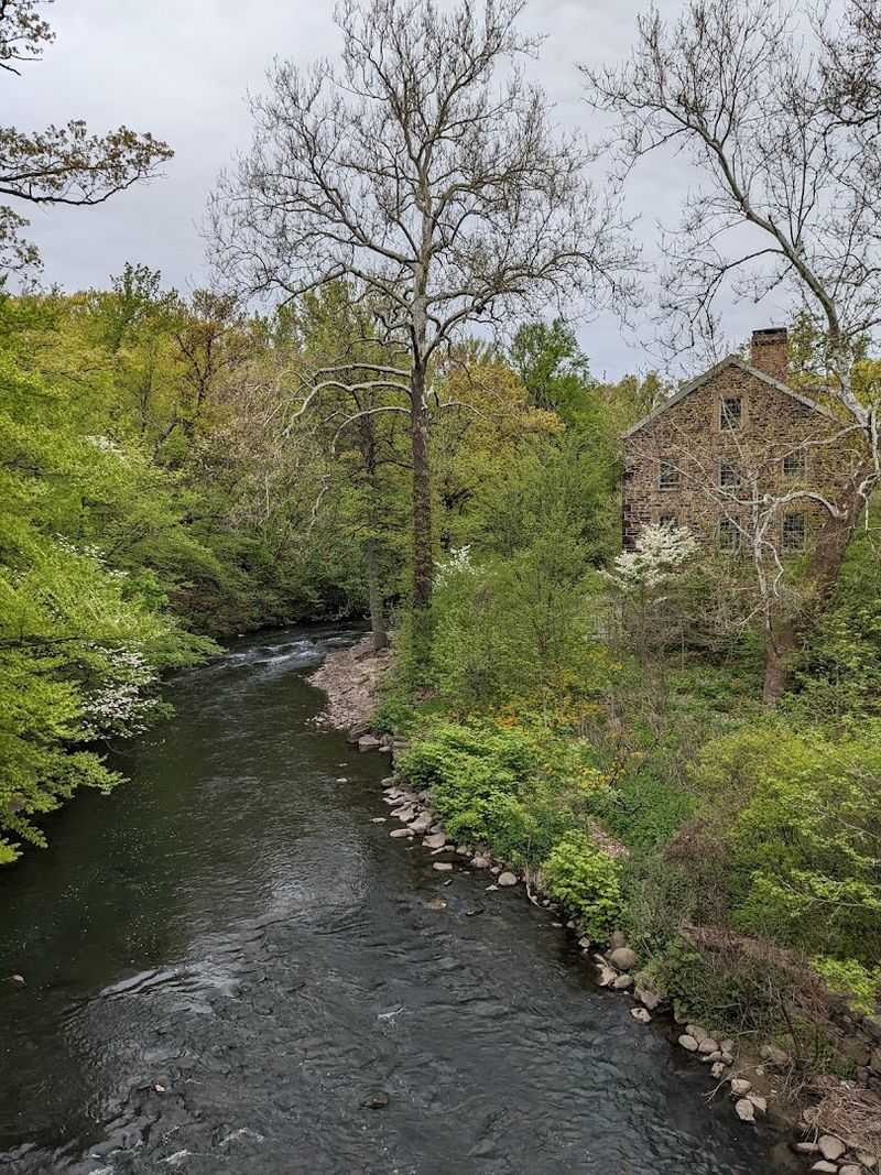What Makes This Forest Ecologically Significant