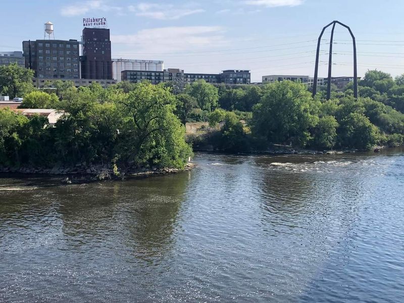 What Minnesota's Shark-Free Lakes Mean for Swimmers What Minnesota's Shark-Free Lakes Mean for Swimmers