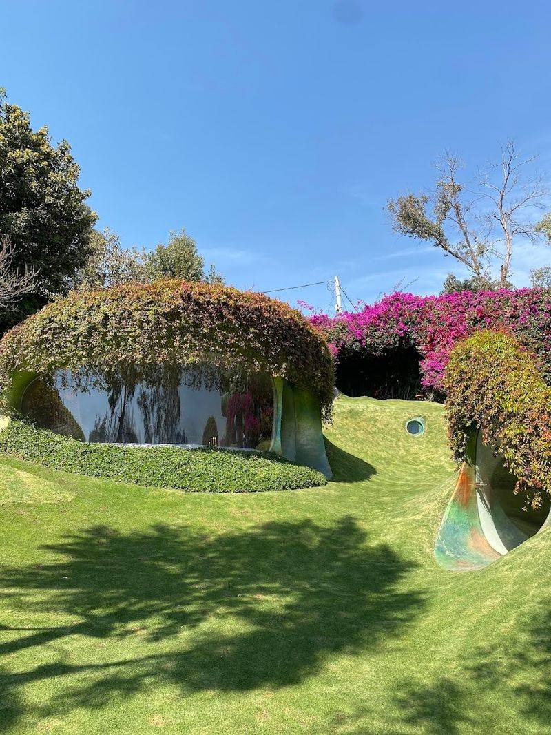 What Organic Architecture Actually Means What Organic Architecture Actually Means