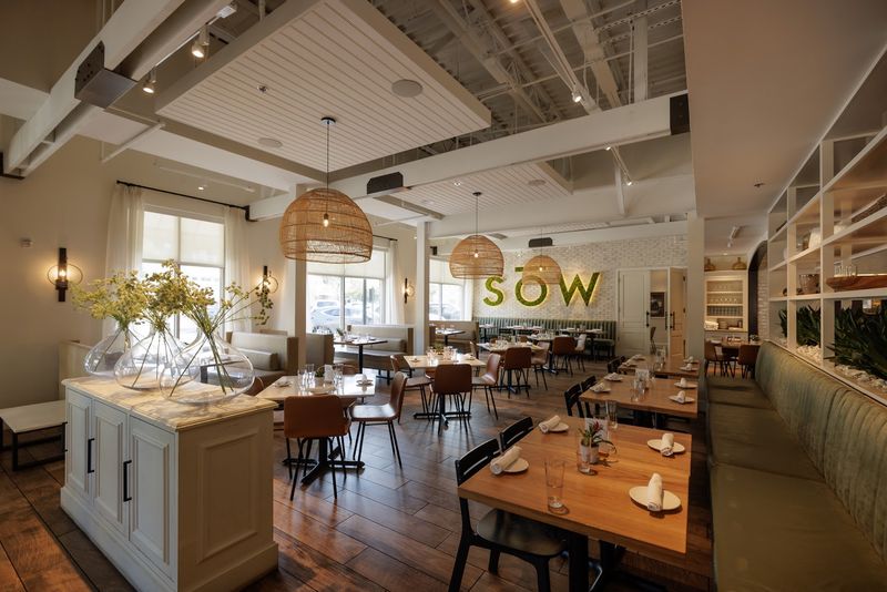 What SŌW Plated Actually Stands For
