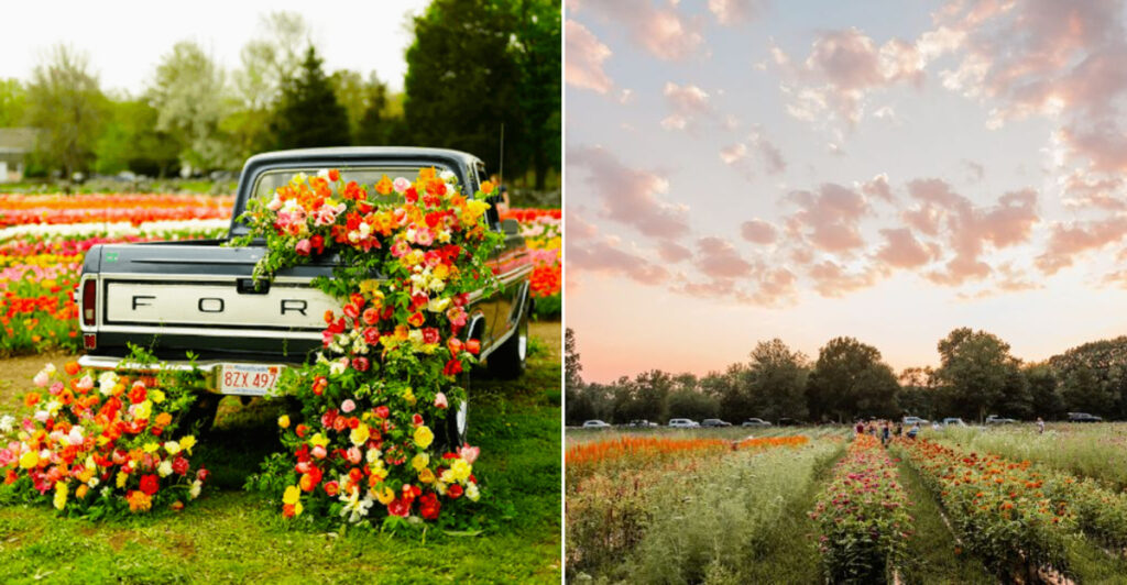 What Started With Mason Jars Now Fills Seven Massachusetts Acres With Color