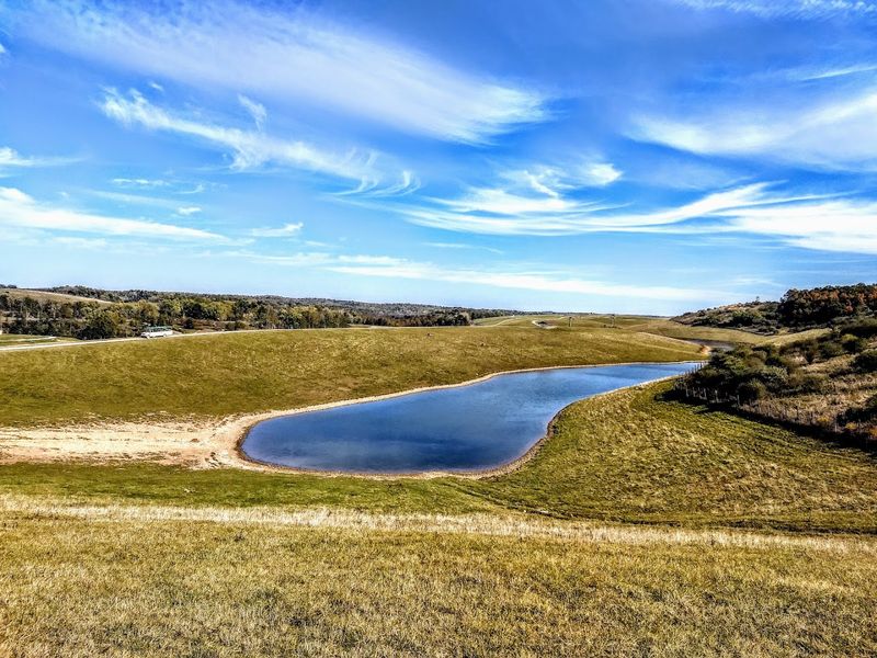 What The Wilds Actually Is What The Wilds Actually Is
