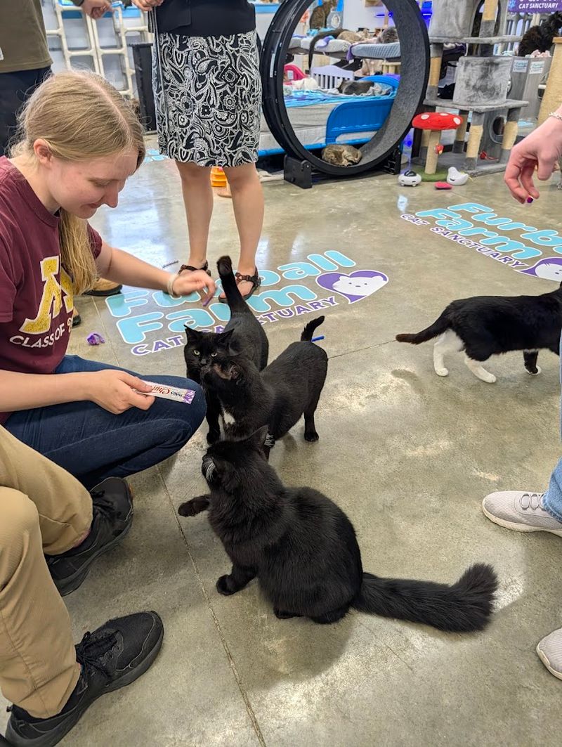 What Treat Time at 2 PM Actually Looks Like What Treat Time at 2 PM Actually Looks Like