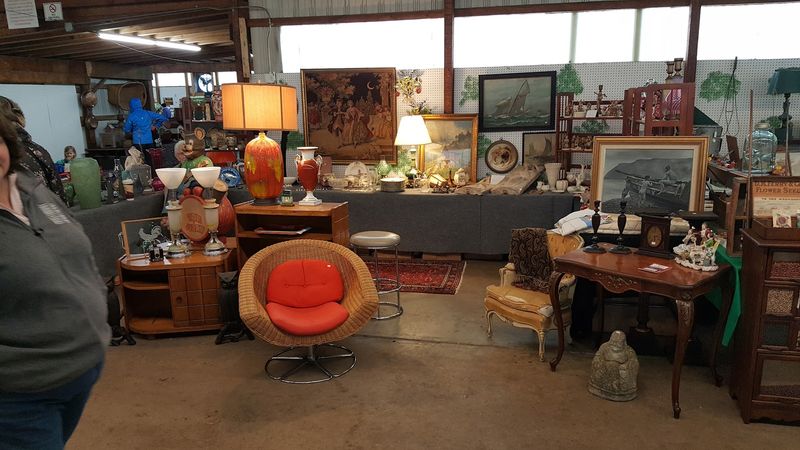 What You Will Find: A Treasure Hunter's Dream Selection