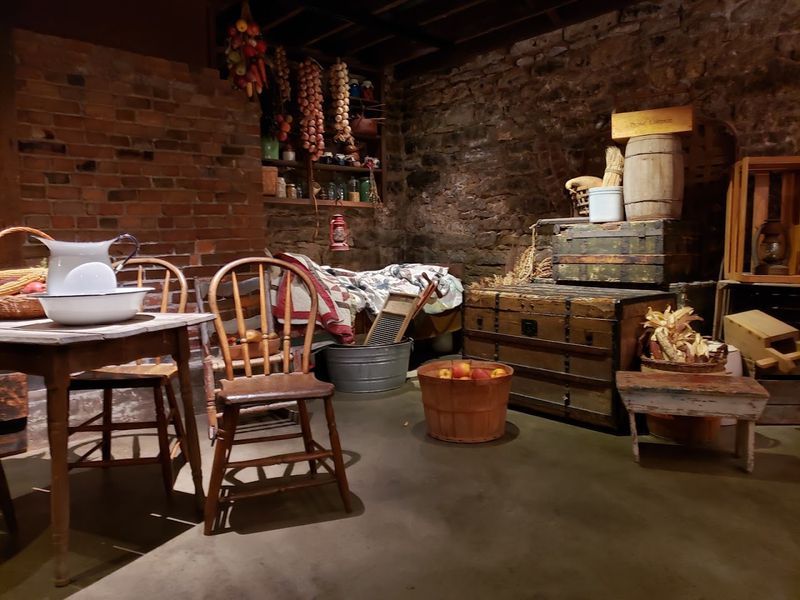 What the Basement Reveals