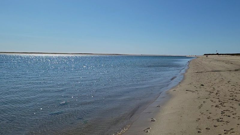 What the Beach Actually Looks Like Up Close