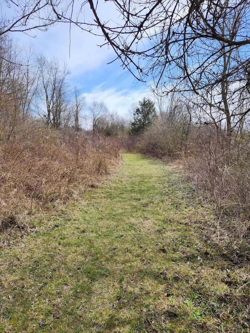 What the Boundary Trail Reveals at Sunrise