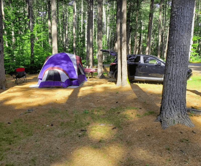 What the Campsite Spacing Actually Looks Like What the Campsite Spacing Actually Looks Like
