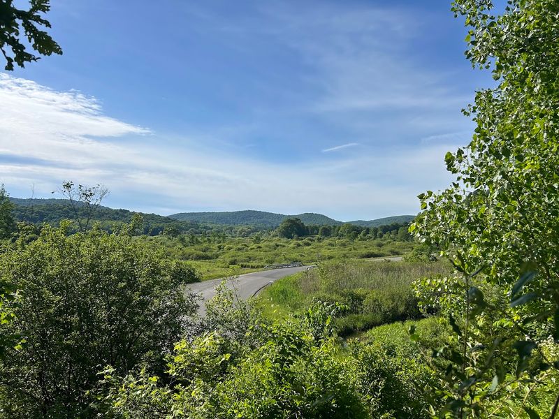 What the Landscape Looks Like Along the Way What the Landscape Looks Like Along the Way