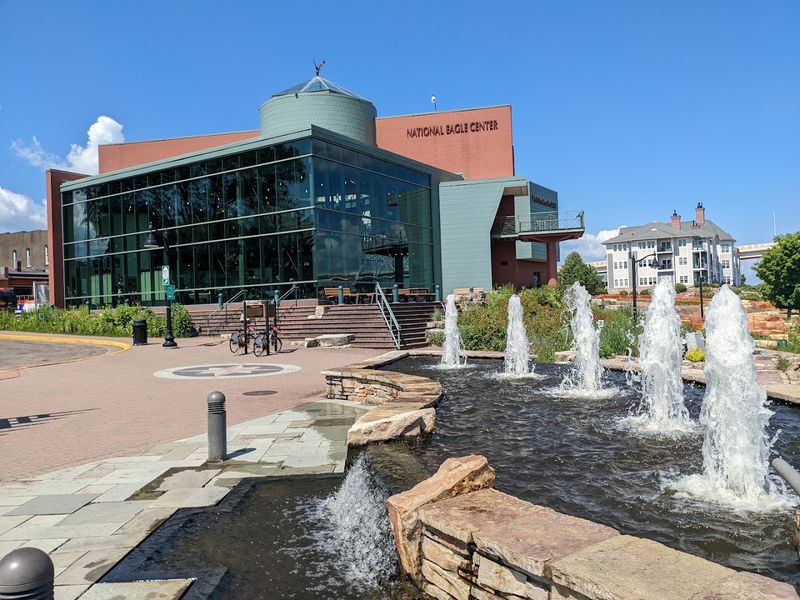 What the National Eagle Center Actually Is