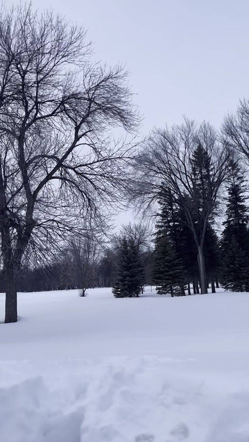 What the Park Looks Like When Winter Arrives What the Park Looks Like When Winter Arrives