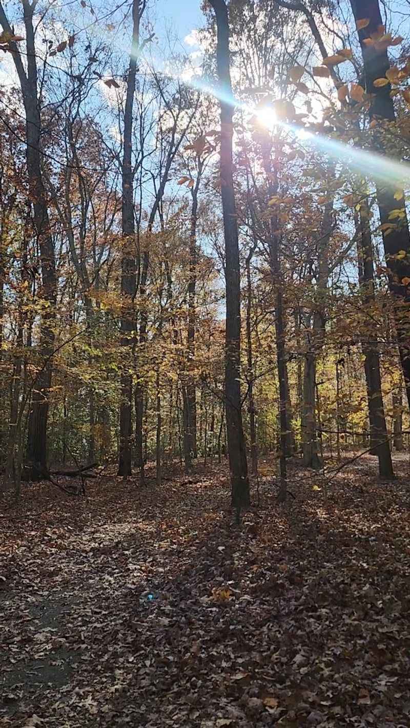 What the Seasons Actually Look and Sound Like Here What the Seasons Actually Look and Sound Like Here