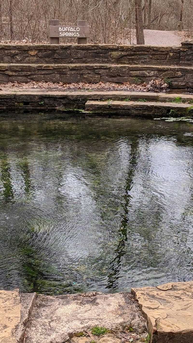 What the Spring Actually Looks and Feels Like What the Spring Actually Looks and Feels Like