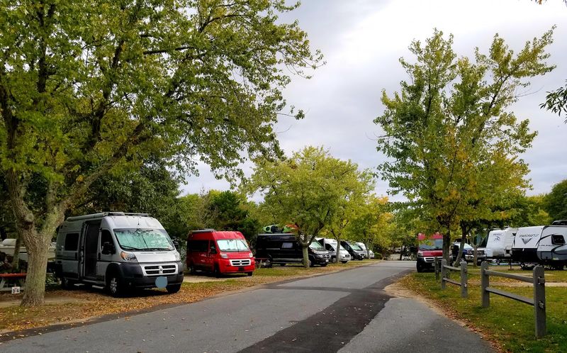 What the Surrounding Neighborhood Looks Like