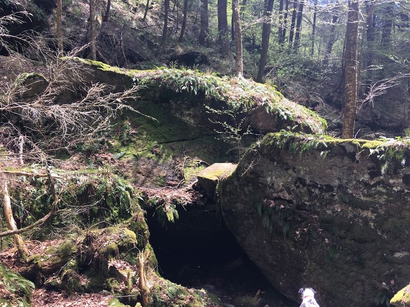 What the Terrain Actually Looks Like Up Close