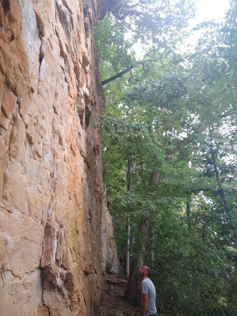 What the Trail Itself Is Actually Like