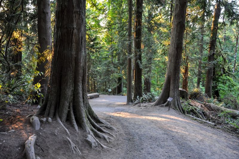 What the Trail Teaches You Along the Way