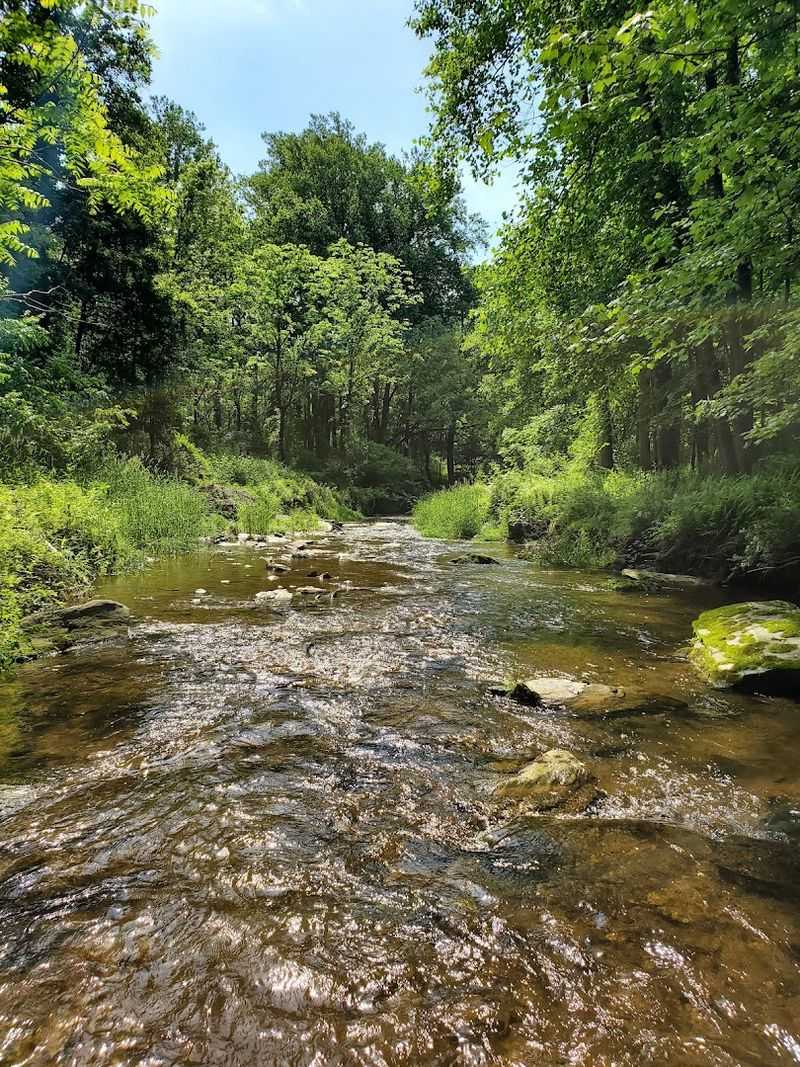 What the Trail and Surrounding Area Look Like What the Trail and Surrounding Area Look Like