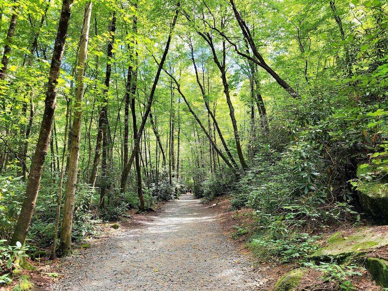 What the Trails Are Actually Like Underfoot What the Trails Are Actually Like Underfoot