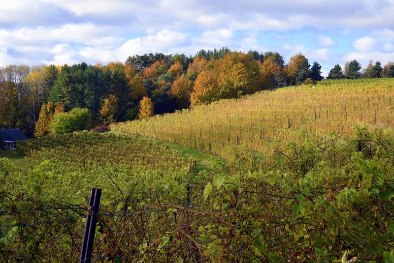 What to Expect From the Surrounding Suttons Bay Area